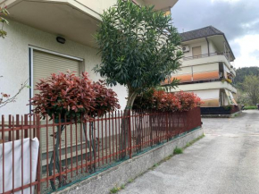 Il Tucanino